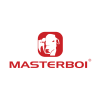Logo Masterboi
