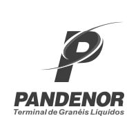 Logo Pandemor